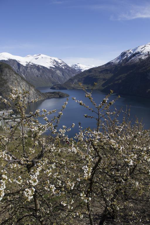 Valldal Camping Экстерьер фото